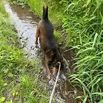 Ferienhaeuser & - Naturcamp Meyersgrund Im Thueringer Wald Holiday home Ilmenau