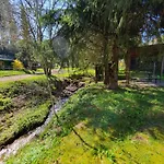 Ferienhaeuser & - Naturcamp Meyersgrund Im Thueringer Wald Holiday home Ilmenau