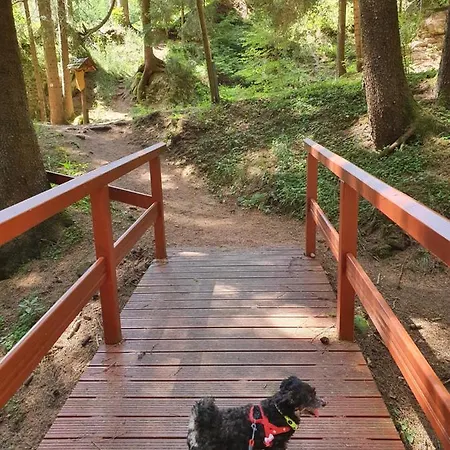 Ferienhaeuser & - Naturcamp Meyersgrund Im Thueringer Wald Tatil Evi Ilmenau