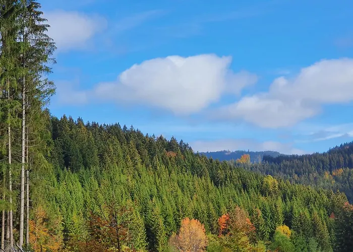 1 Meyersgrund Im Thüringer Wald Ferienhaus