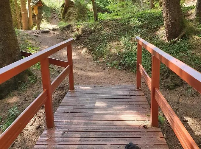 Ferienhaeuser & - Naturcamp Meyersgrund Im Thueringer Wald Vakantiehuis Ilmenau