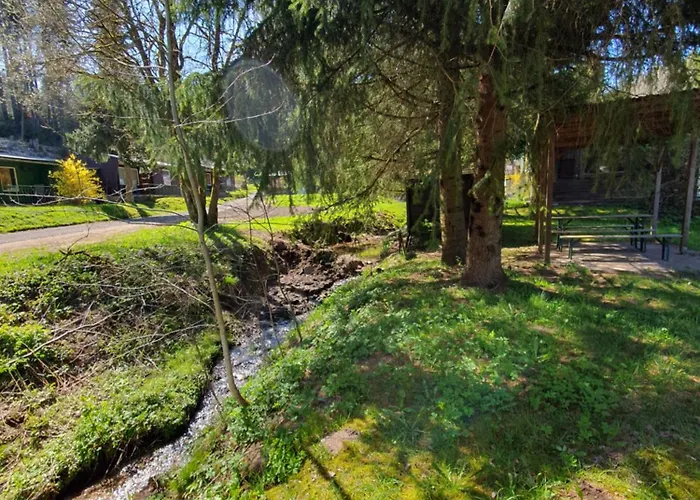 Ferienhaeuser & - Naturcamp Meyersgrund Im Thueringer Wald Vakantiehuis Ilmenau